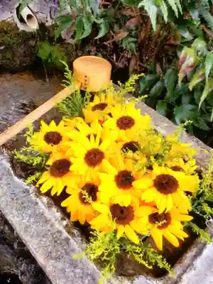 本郷氷川神社(東京都)