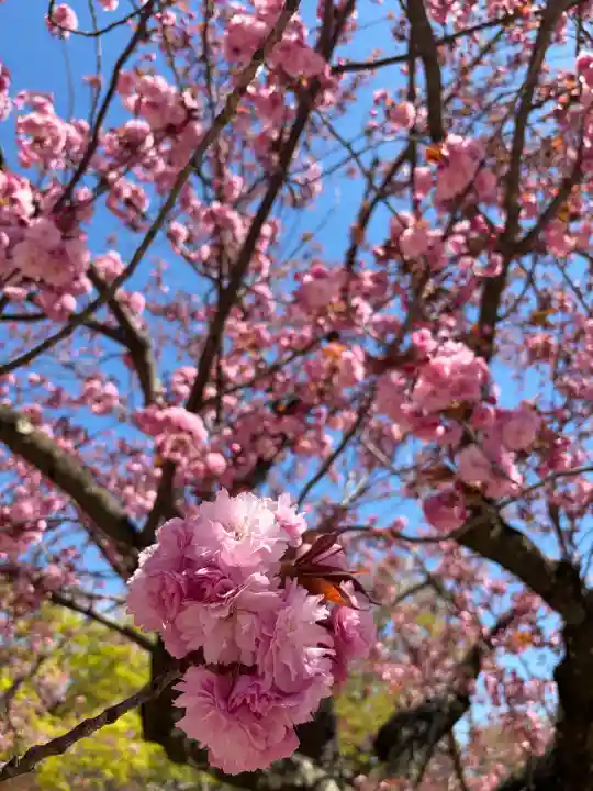青森縣護國神社(青森県)