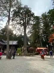 北口本宮冨士浅間神社(山梨県)