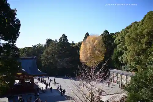鶴岡八幡宮の景色