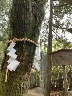 空鞘稲生神社(広島県)