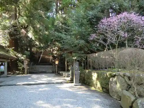 天岩戸神社(宮崎県)