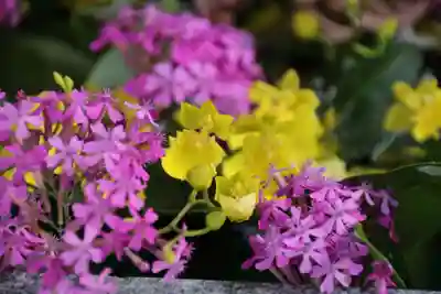 豊景神社の手水舎