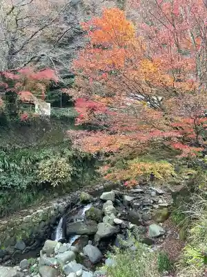 大山阿夫利神社(神奈川県)