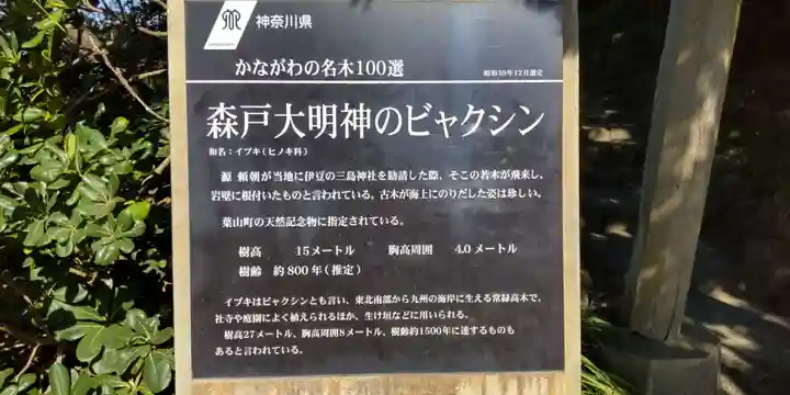 森戸大明神(森戸神社)(神奈川県)