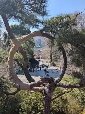 清水観音堂(東京都)