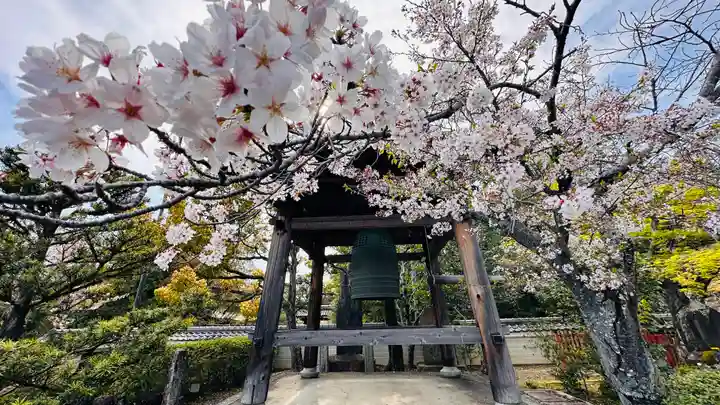 蓮華寺(京都府)