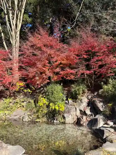 霧島神宮(鹿児島県)