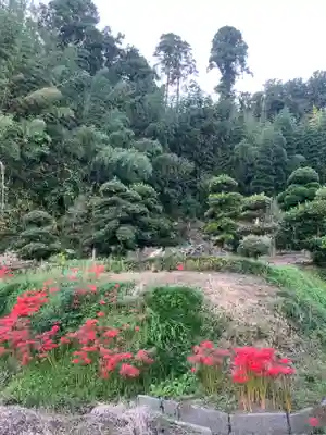 常安寺(千葉県)