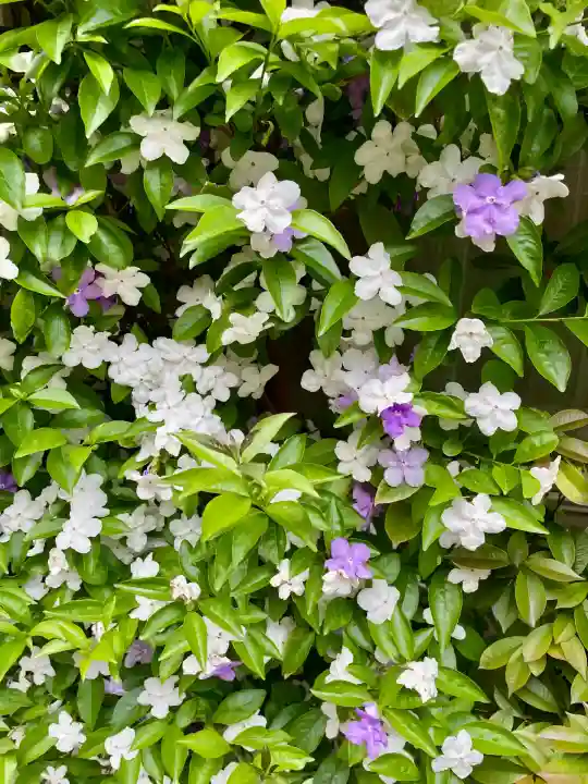 長応院(東京都)
