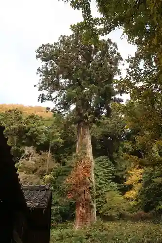 大洗磯前神社(岐阜県)