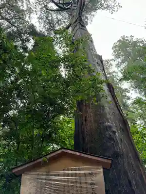 高千穂神社(宮崎県)
