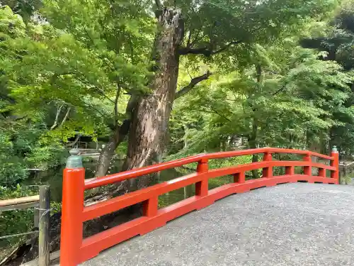 鶴岡八幡宮の庭園