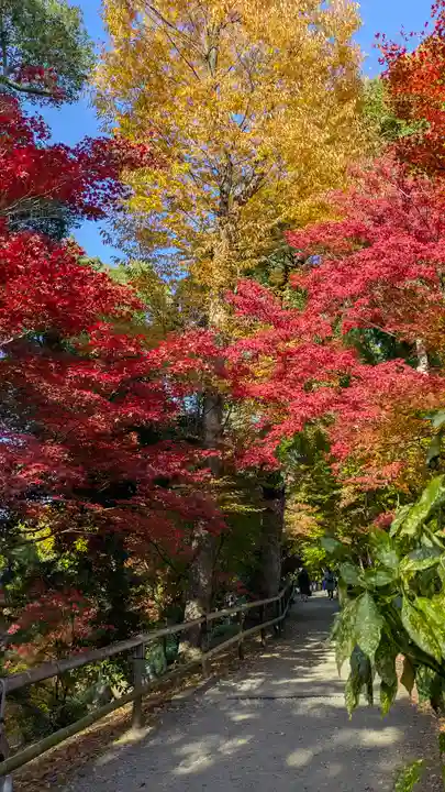 北野天満宮(京都府)