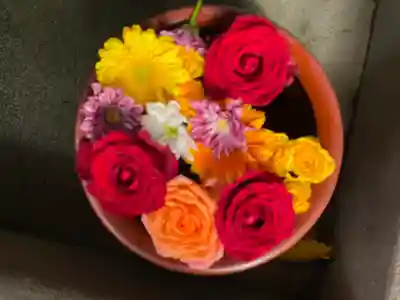 菅生神社(愛知県)