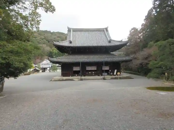 御寺 泉涌寺の本殿・本堂