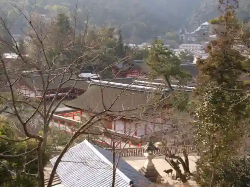 厳島神社の景色