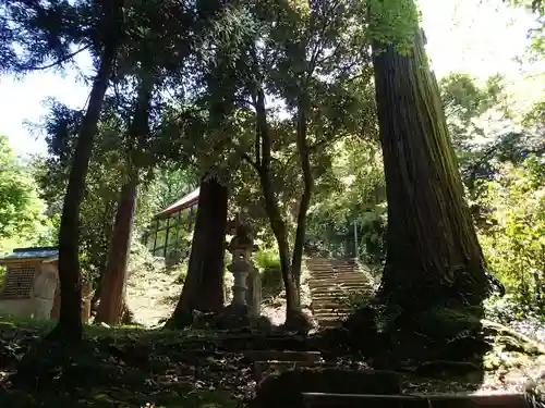 瀧浪神社の自然