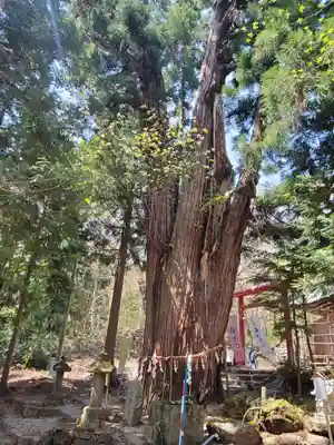 磐椅神社(福島県)