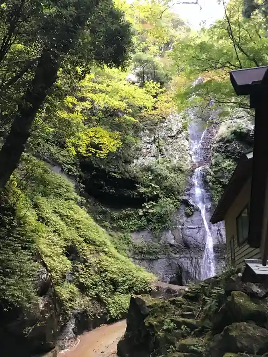 壇鏡神社の自然