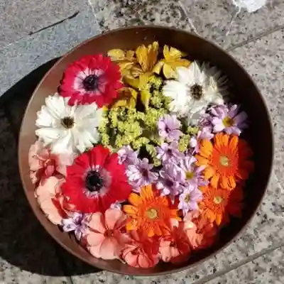 彌彦神社　(伊夜日子神社)の芸術