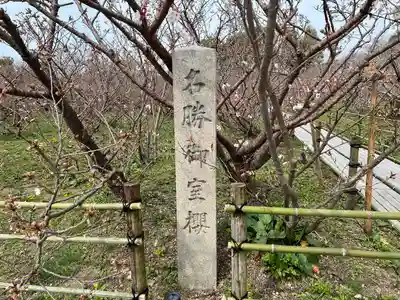 仁和寺(京都府)