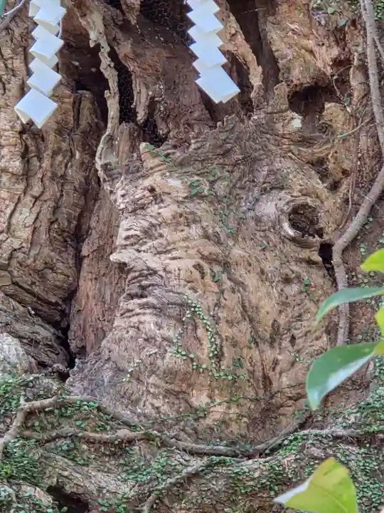 新田神社(鹿児島県)