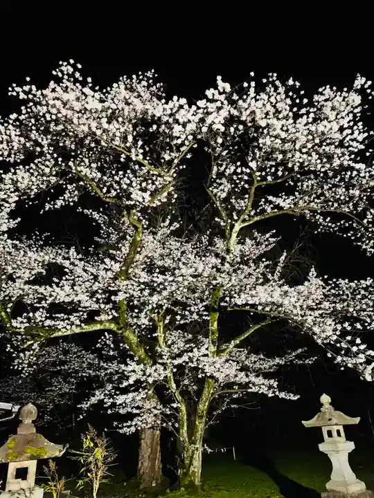 守りの神 藤基神社の庭園