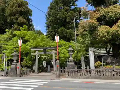 渋川八幡宮の鳥居