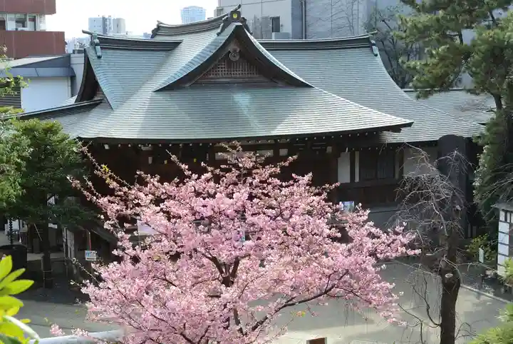 鳩森八幡神社の自然