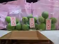 玉眞院玉川大師の授与品その他