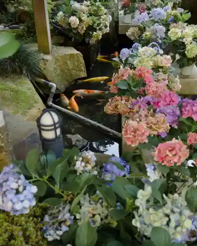 楽法寺（雨引観音）(茨城県)