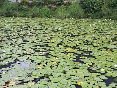大原野神社(京都府)