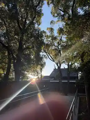 和泉國一之宮　大鳥大社(大阪府)