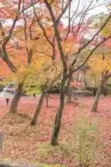 禅林寺（永観堂）(京都府)