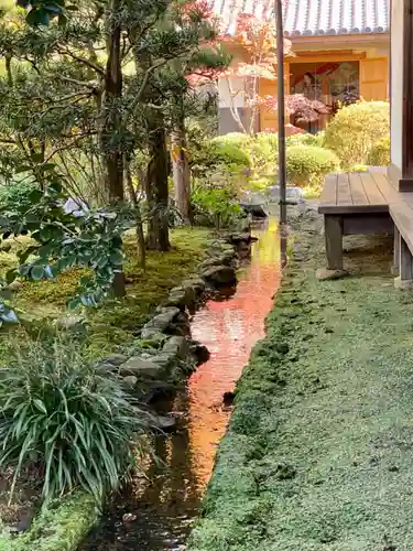 隨心院（随心院）の庭園