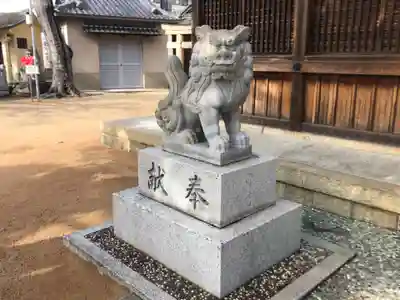 舞子六神社/まいこむの宮の狛犬