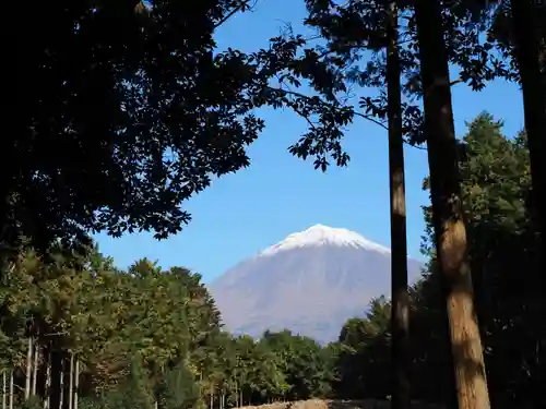 山宮浅間神社の本殿・本堂