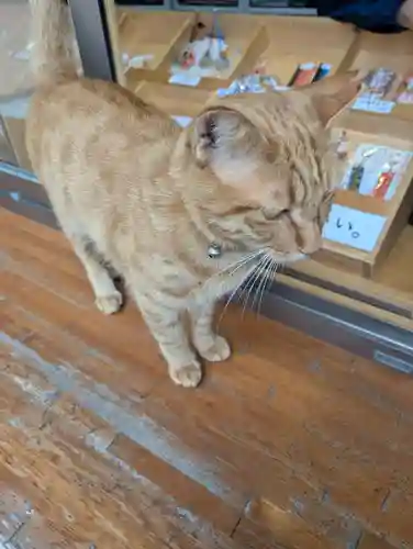 鹿島御児神社(宮城県)