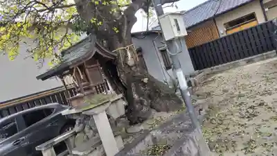 櫟谷七野神社(京都府)