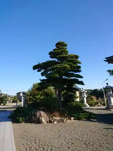 長栄寺の庭園