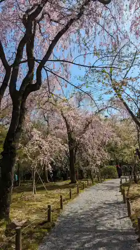 龍安寺(京都府)