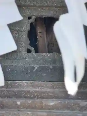 泥宮神社(長野県)