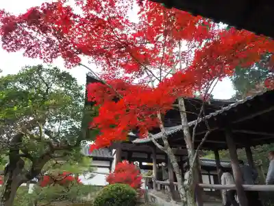 東福禅寺(東福寺)(京都府)