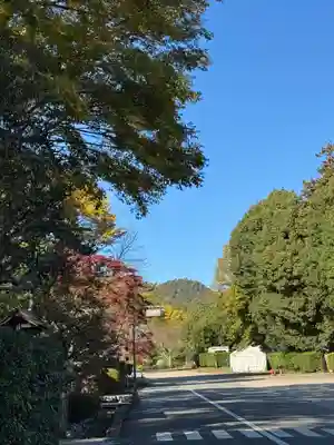 賀茂別雷神社（上賀茂神社）(京都府)