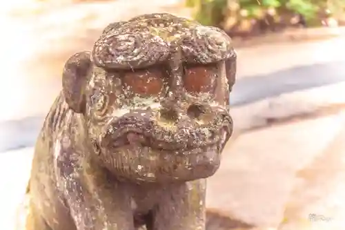 鹿嶋神社の狛犬