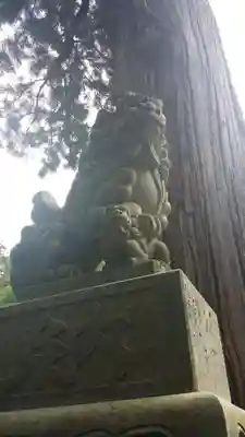 戸隠神社中社の狛犬
