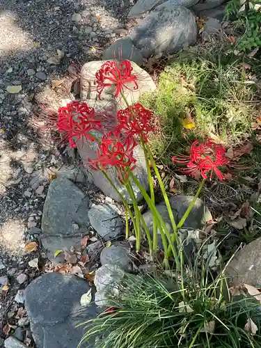竜門寺(群馬県)
