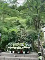 長谷寺(奈良県)