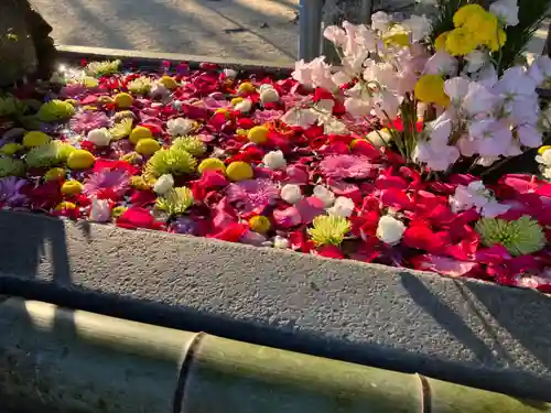 三津厳島神社の手水舎